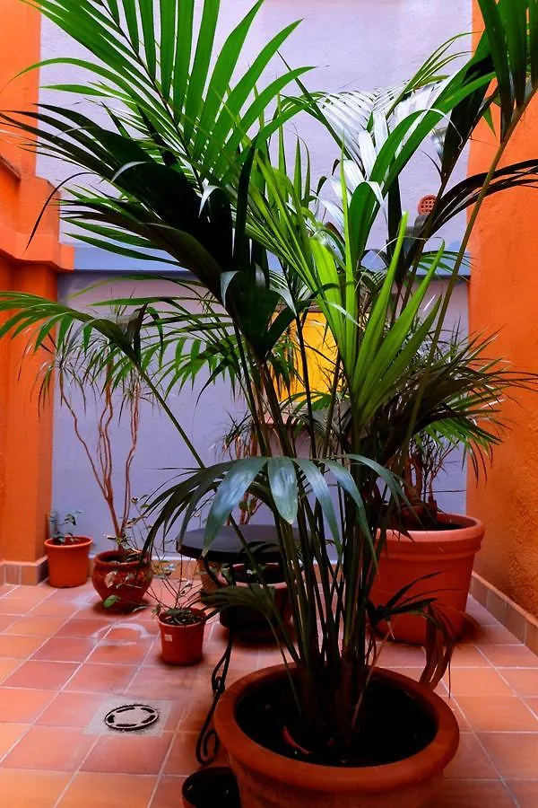 Hotel Carmen Roses