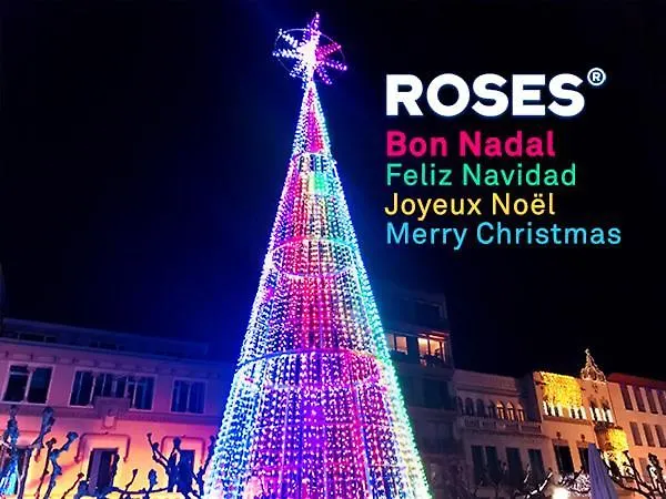 Hotel Carmen Roses 3*,